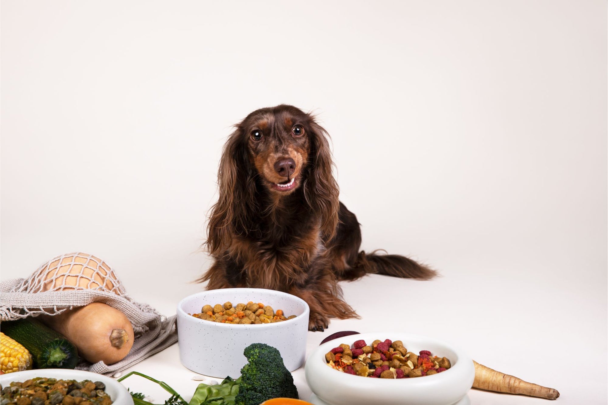 De flexitariër’s Gids voor PAWR: Een Gezonde en Duurzame levensstijl voor je hond!