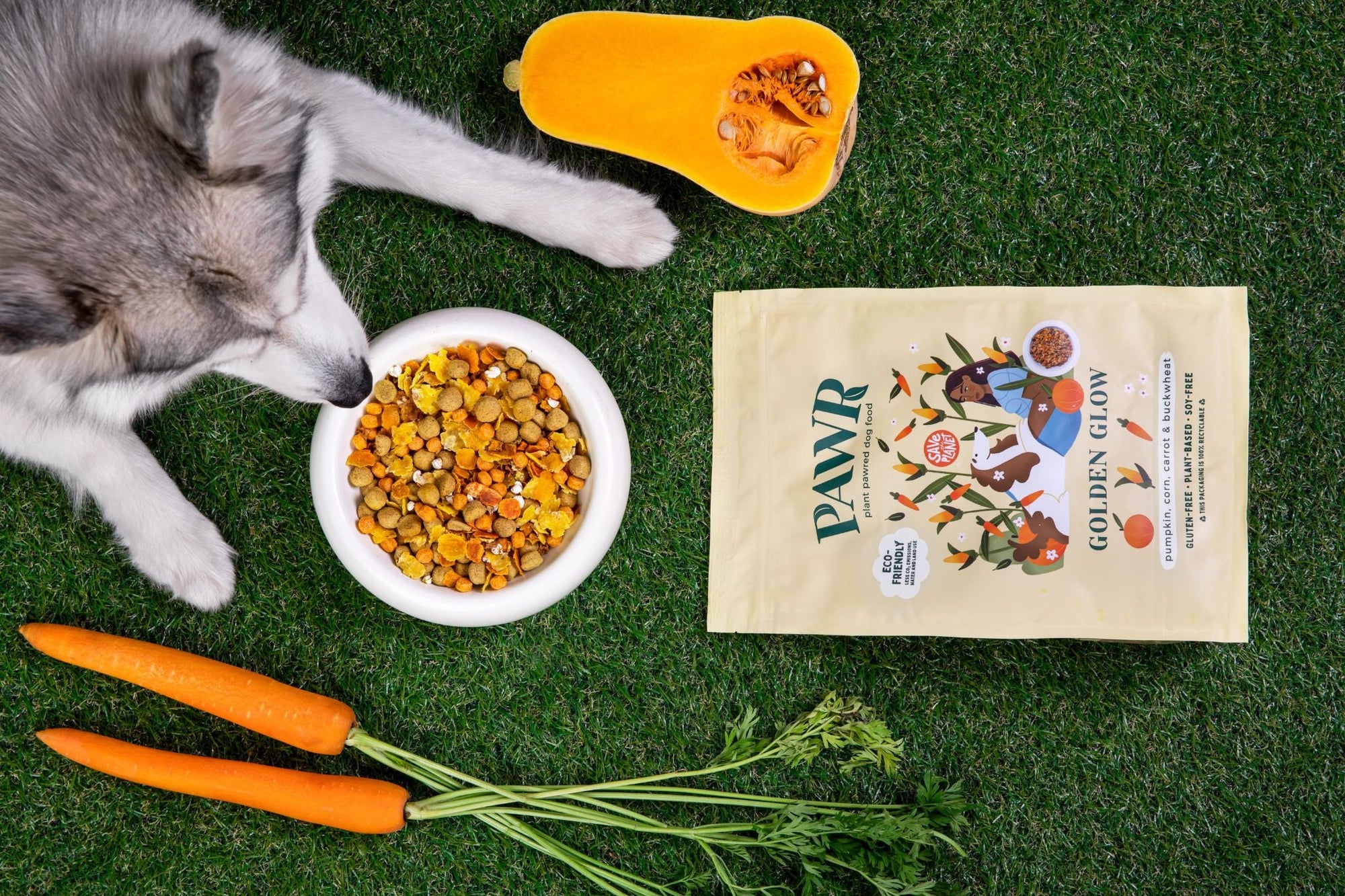 Hond met vleesallergie? Ontdek een heerlijk en voedzaam alternatief!