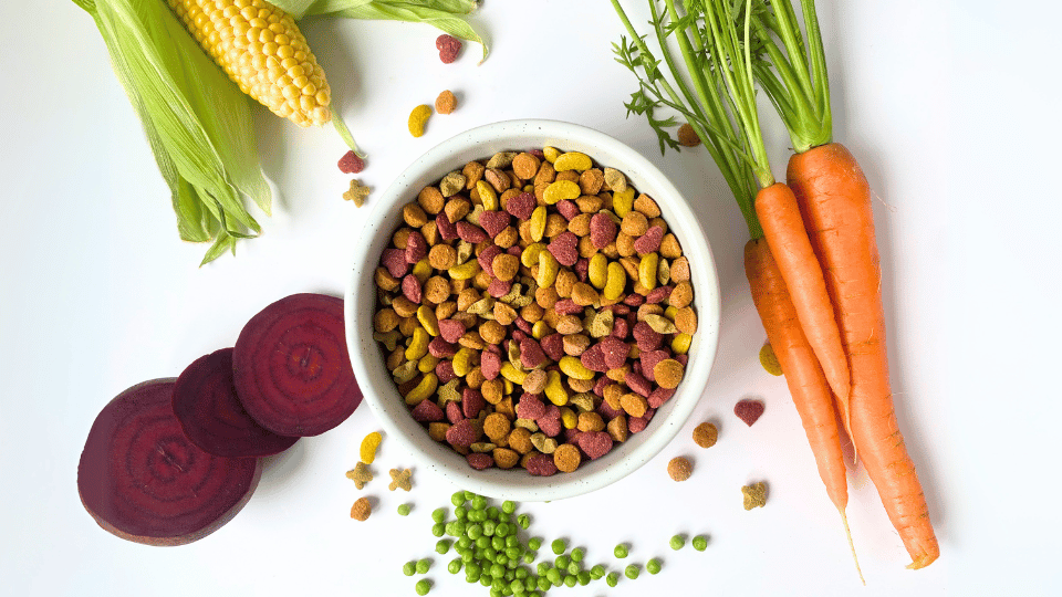 Welke groenten en fruit mag je hond wel en niet eten?