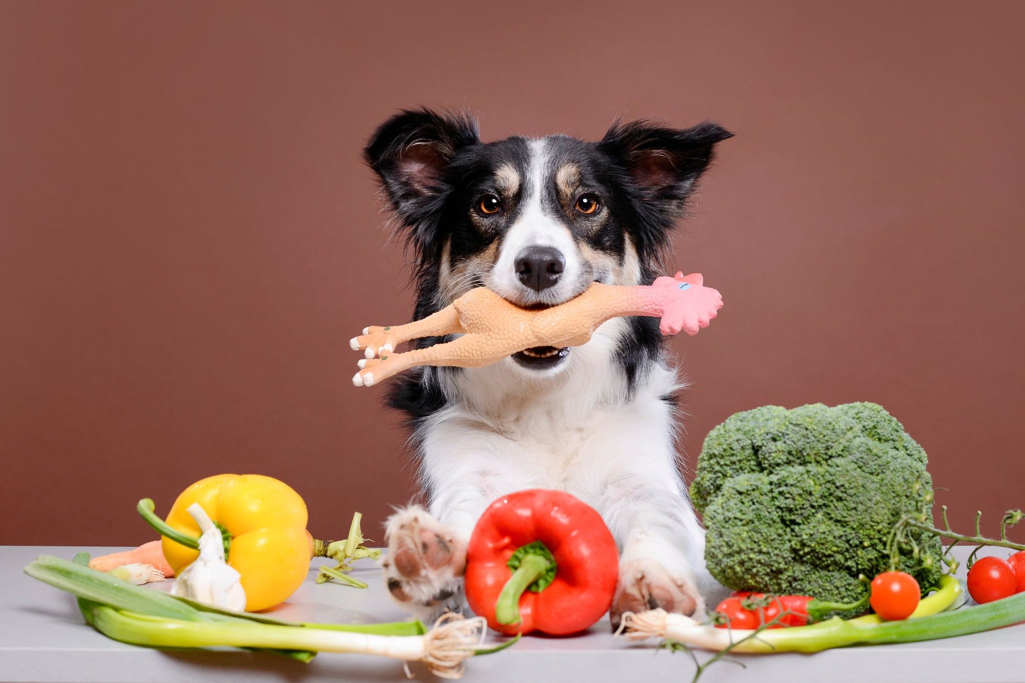 Welke groenten en fruit mag je hond wel en niet eten?