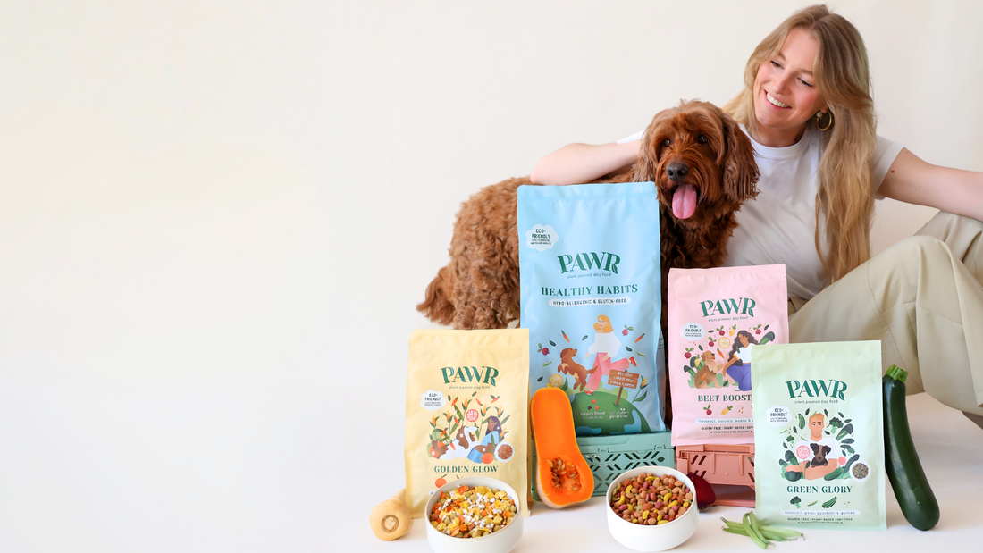 Wat zijn de voordelen van vegan hondenvoer? | PAWR