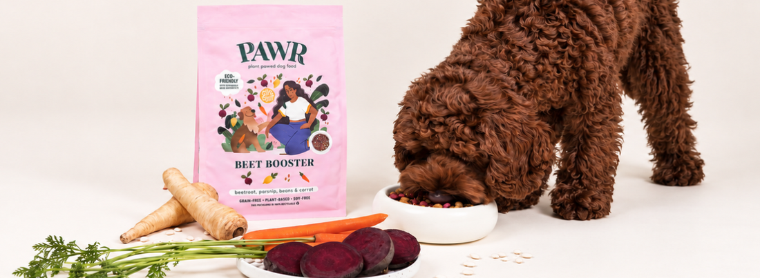 Welke groenten en fruit mag je hond wel en niet eten?