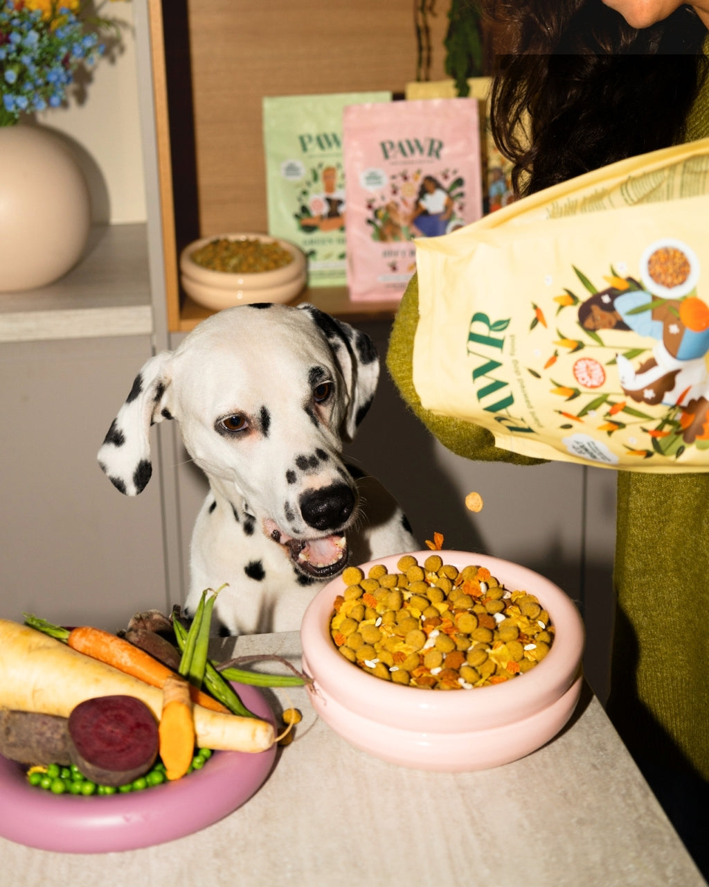 Golden Glow Veganes Hundefutter 750 Gramm