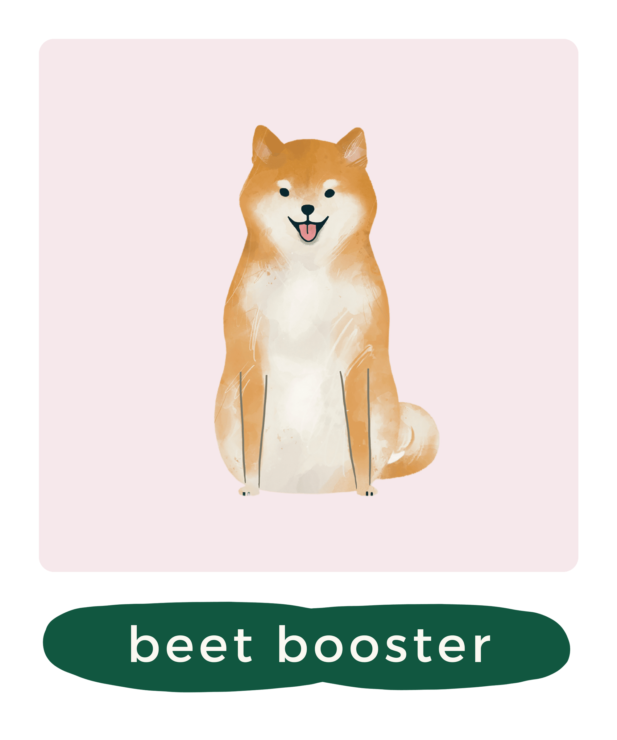 Vegetarisch hondenvoer - Beet booster