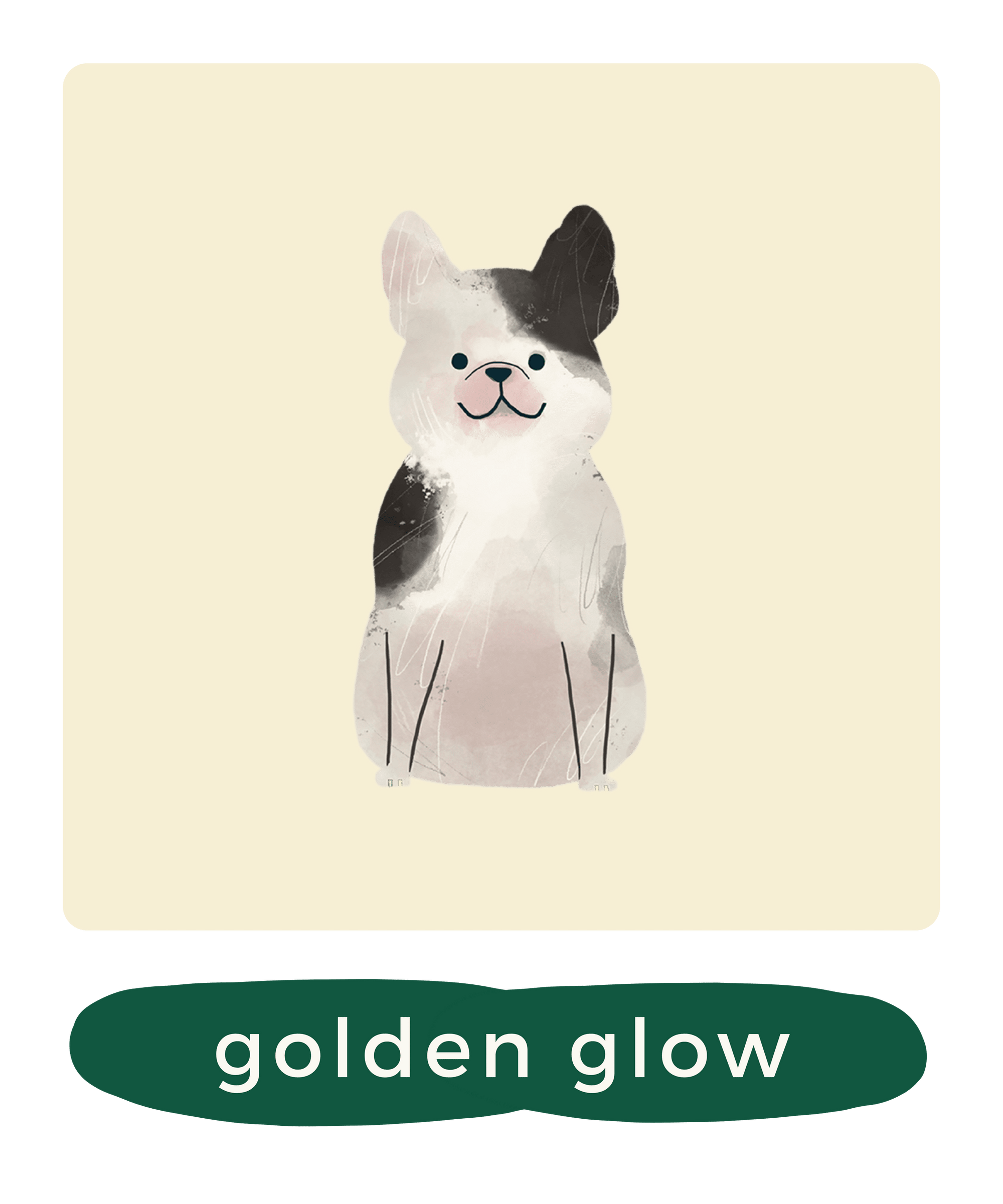 Vegetarisch hondenvoer - Golden glow