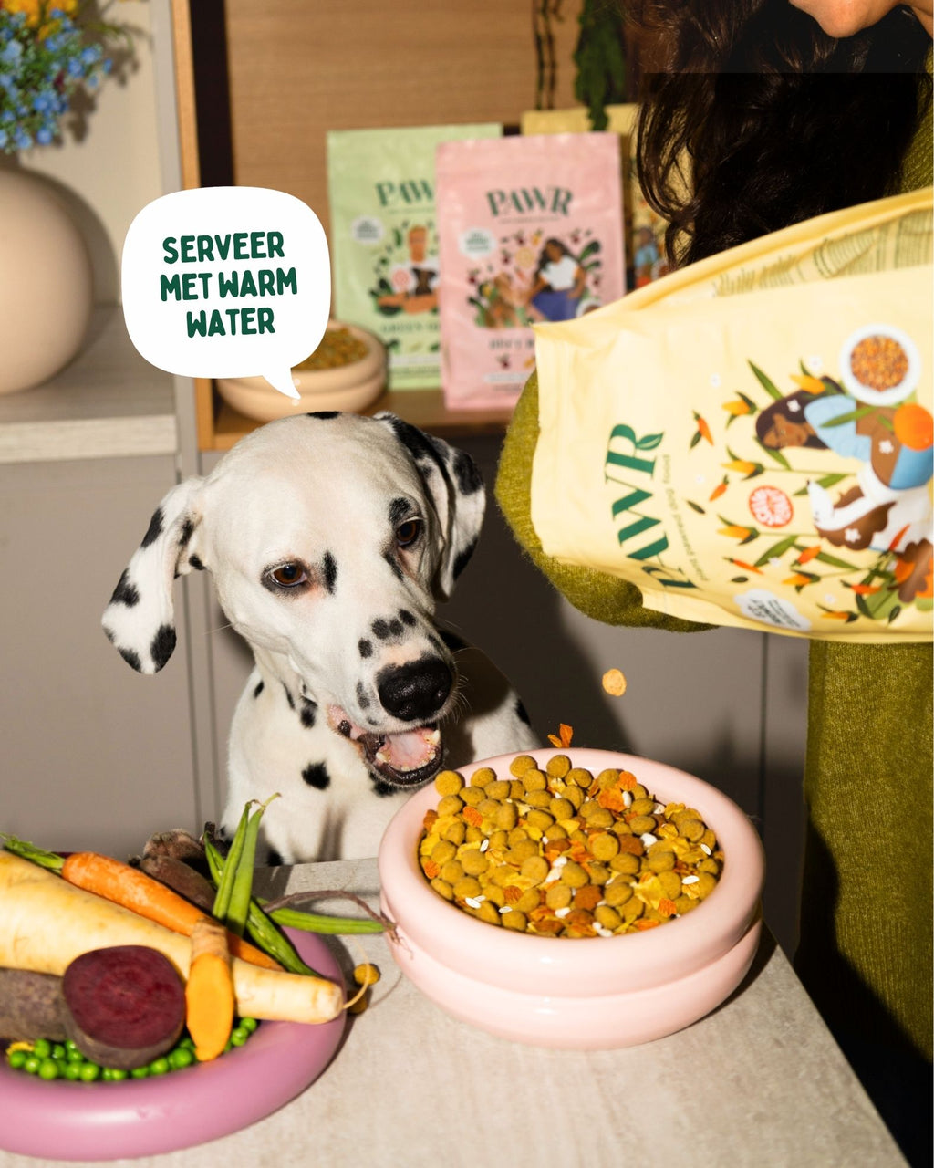 Golden Glow Plant-based dog food