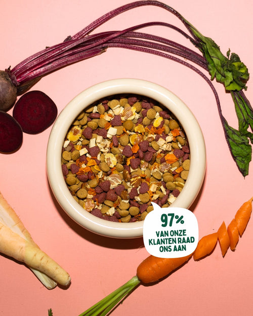 Beet Booster – Hypoallergene Superfood Mix