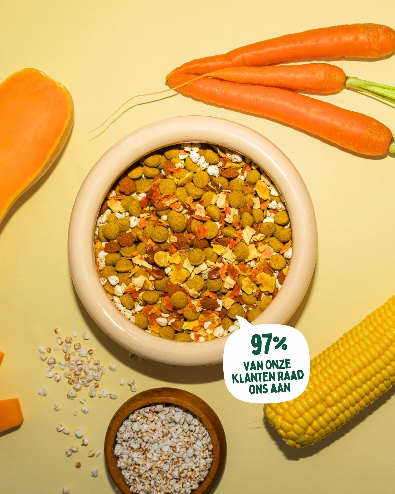 Golden Glow - Hypoallergene Superfood Mix