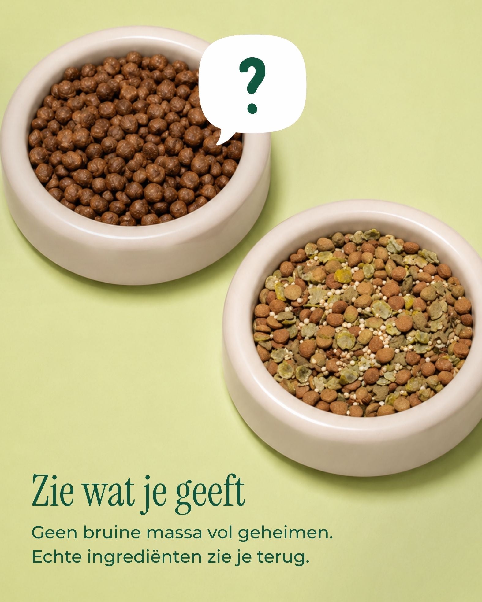 Green Glory - Hypoallergene Superfood Mix