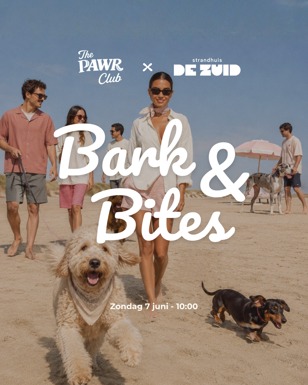PAWR BARK & BITES