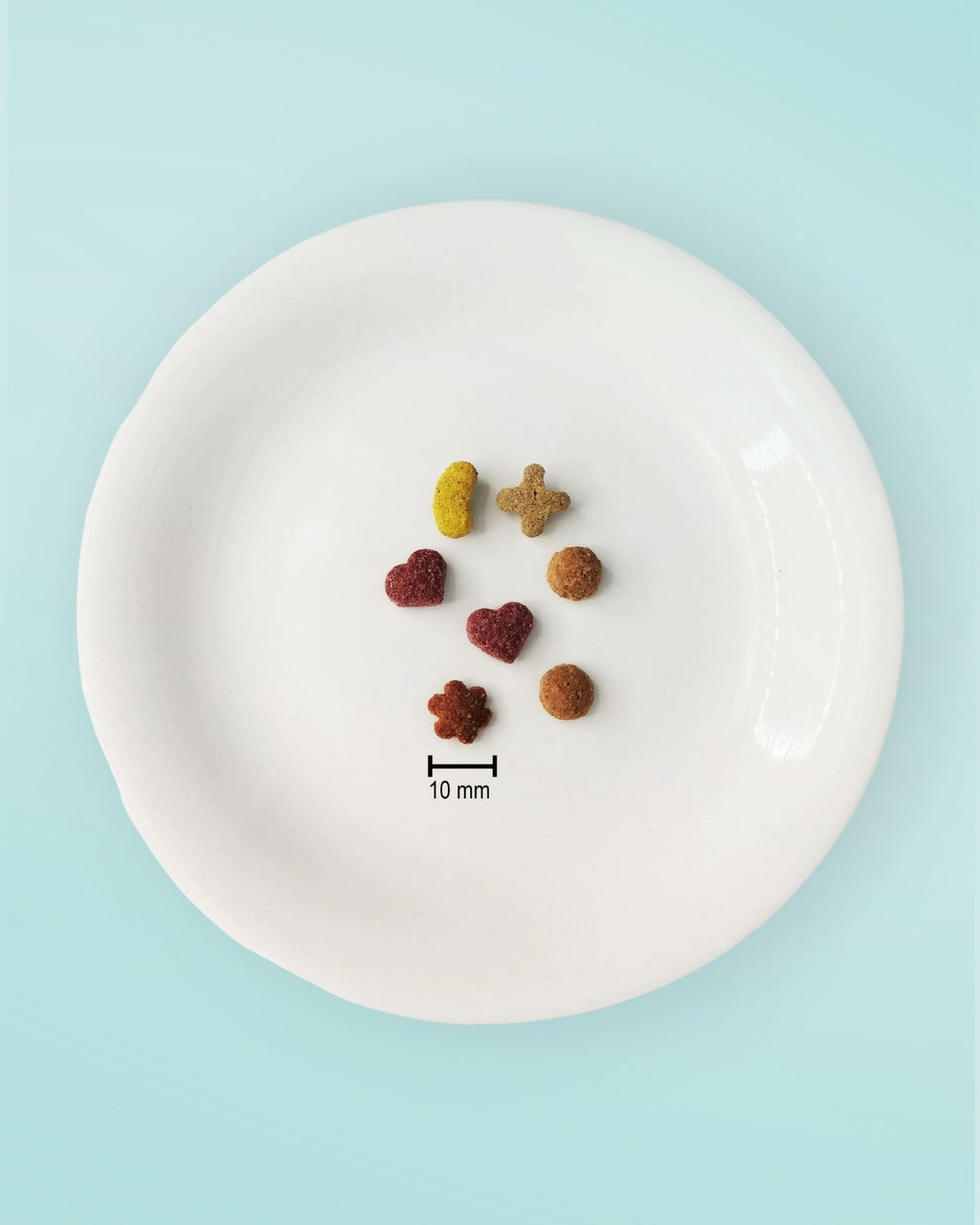 Healthy Habits Plant-Based Dog Food 