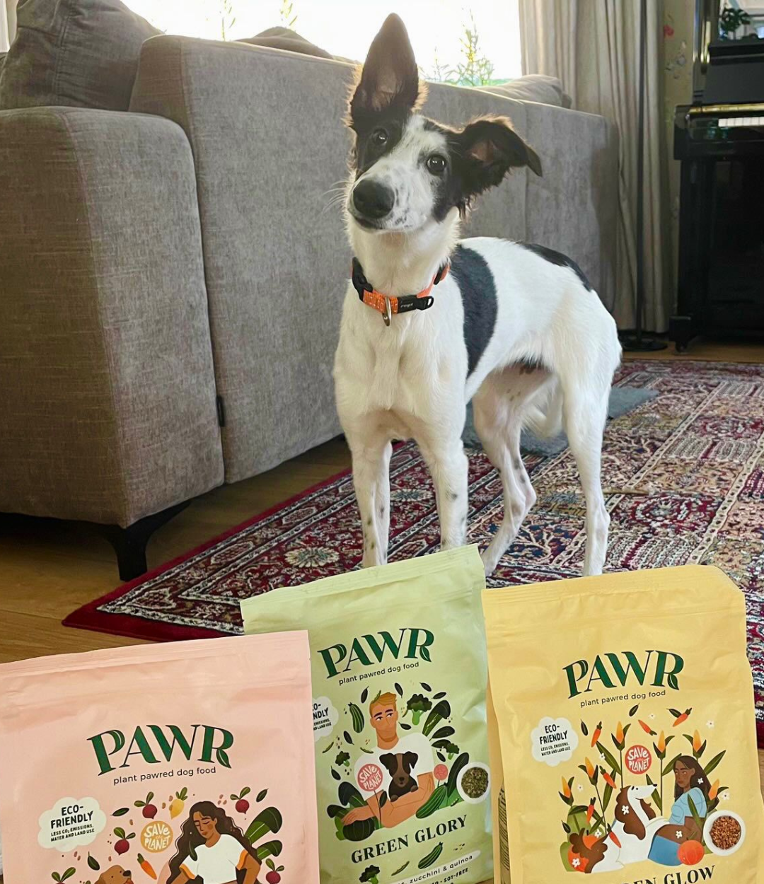 Paw R Over ons – PAWR