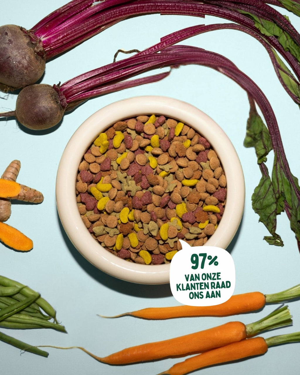 Healthy Habits Plant-Based Dog Food 